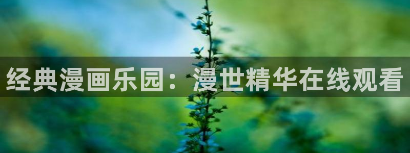 漫漫漫画免费漫画网站