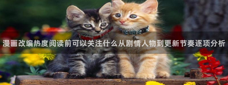 漫画屋网站入口