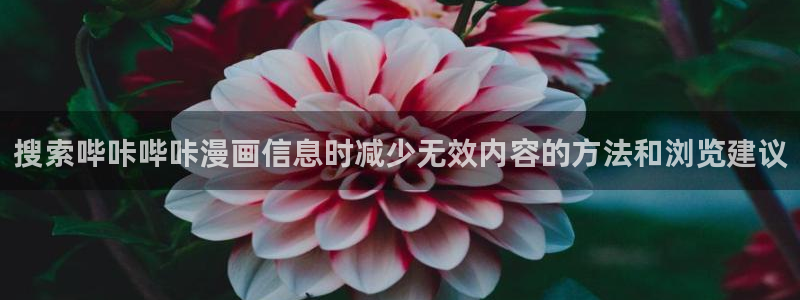 新新漫画官网入口